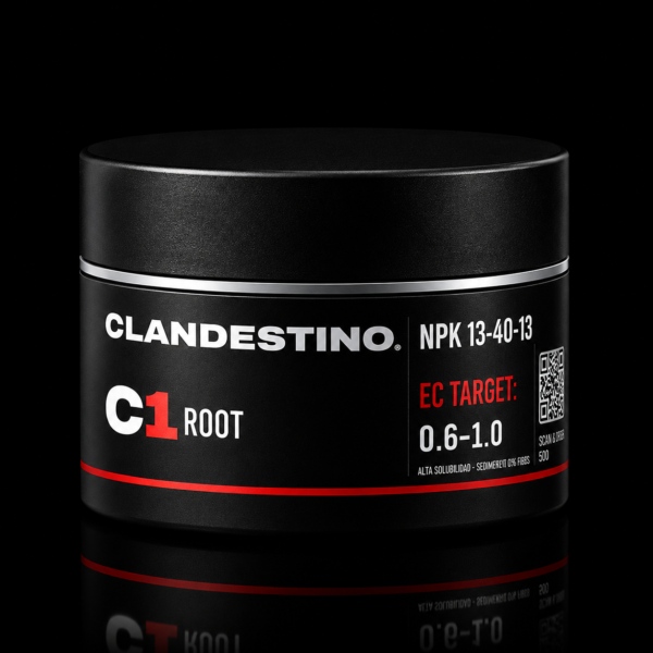 Clandestino C1 — Root