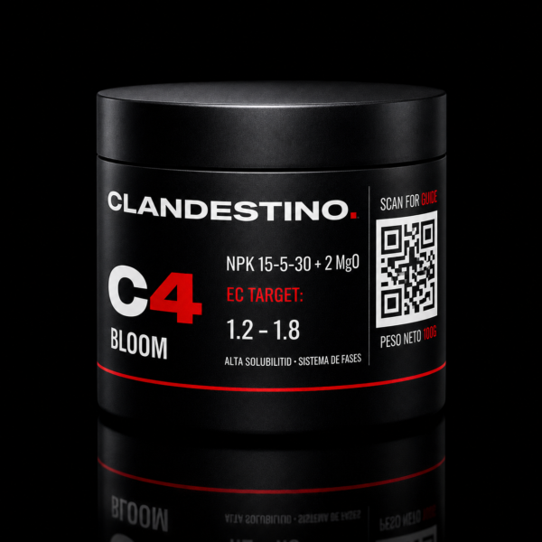 Clandestino C4 - Bloom