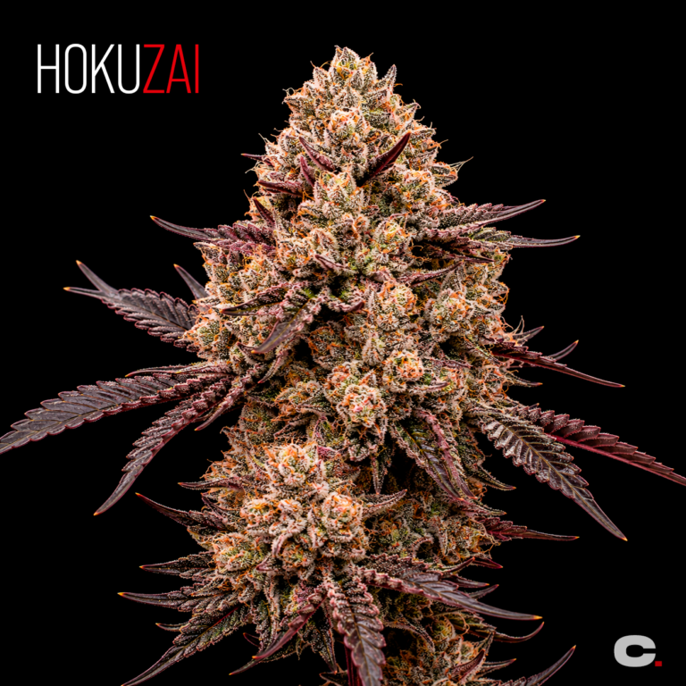 Hokuzai