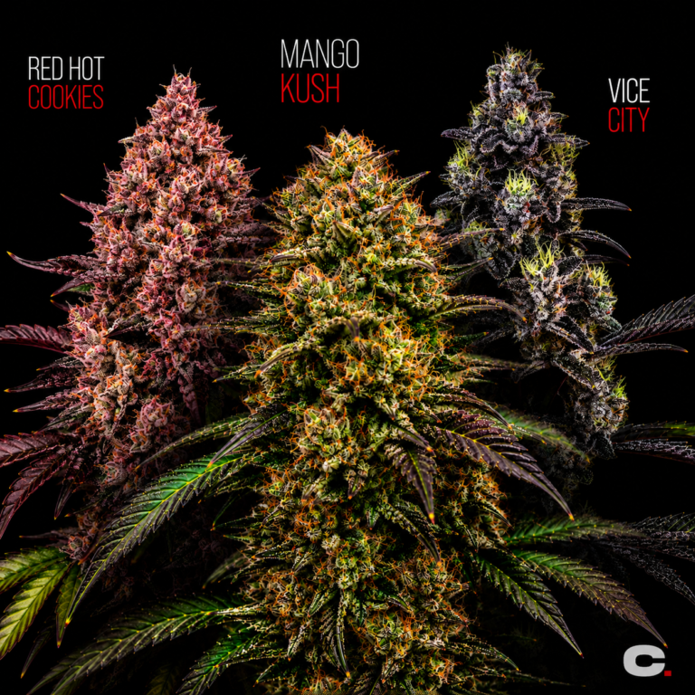 Vice Tropicale Mix