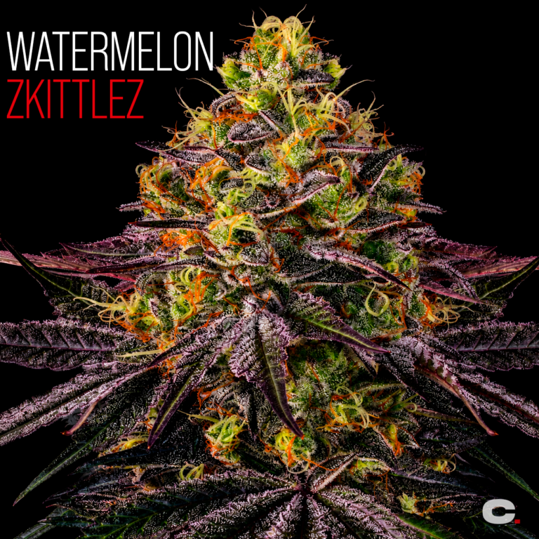 Watermelon Zkittlez
